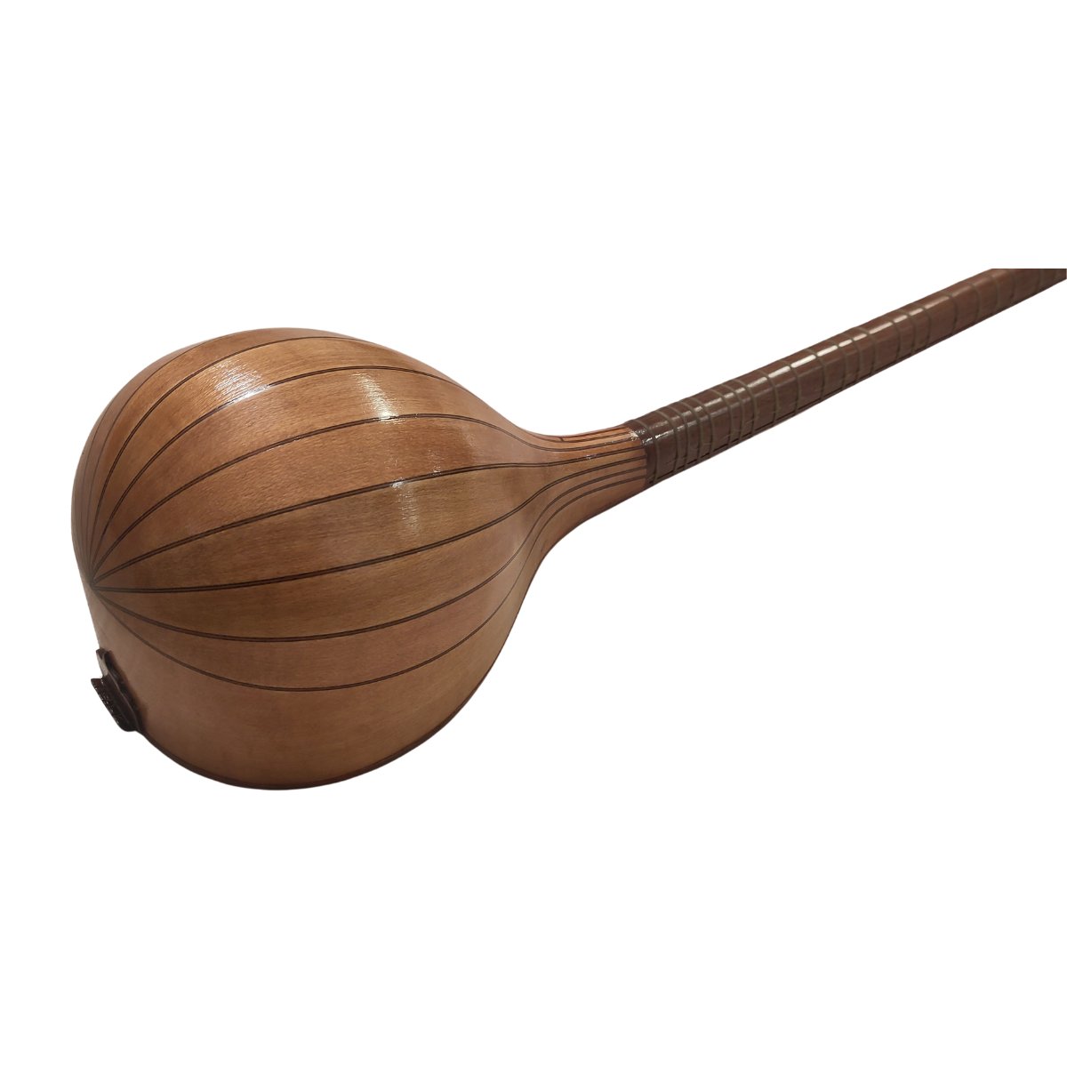 Setar iranien-photo-5