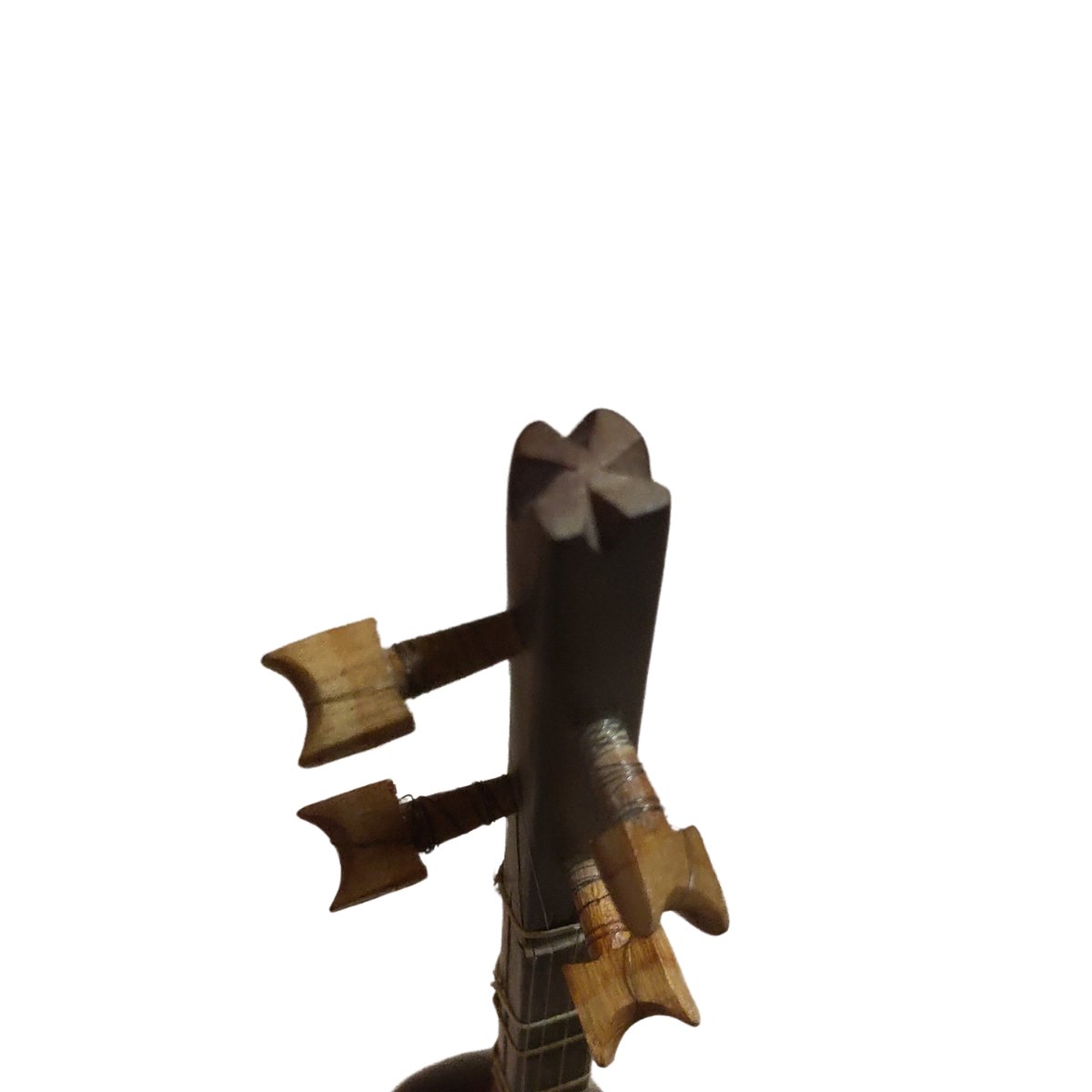 Setar iranien double caisse-photo-2