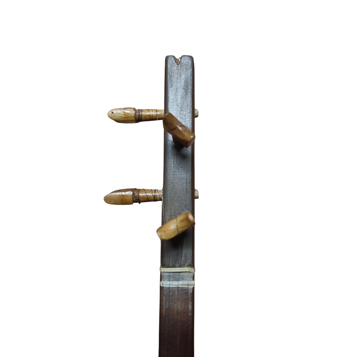 Setar iranien double caisse-photo-1