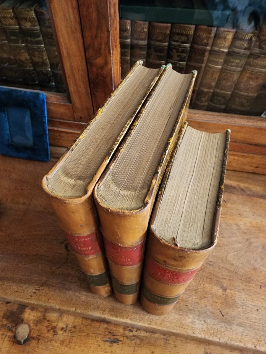 Traité d anatomie topographique EO 1867 medecine operatoire paulet et sarazin  édition masson -photo-3