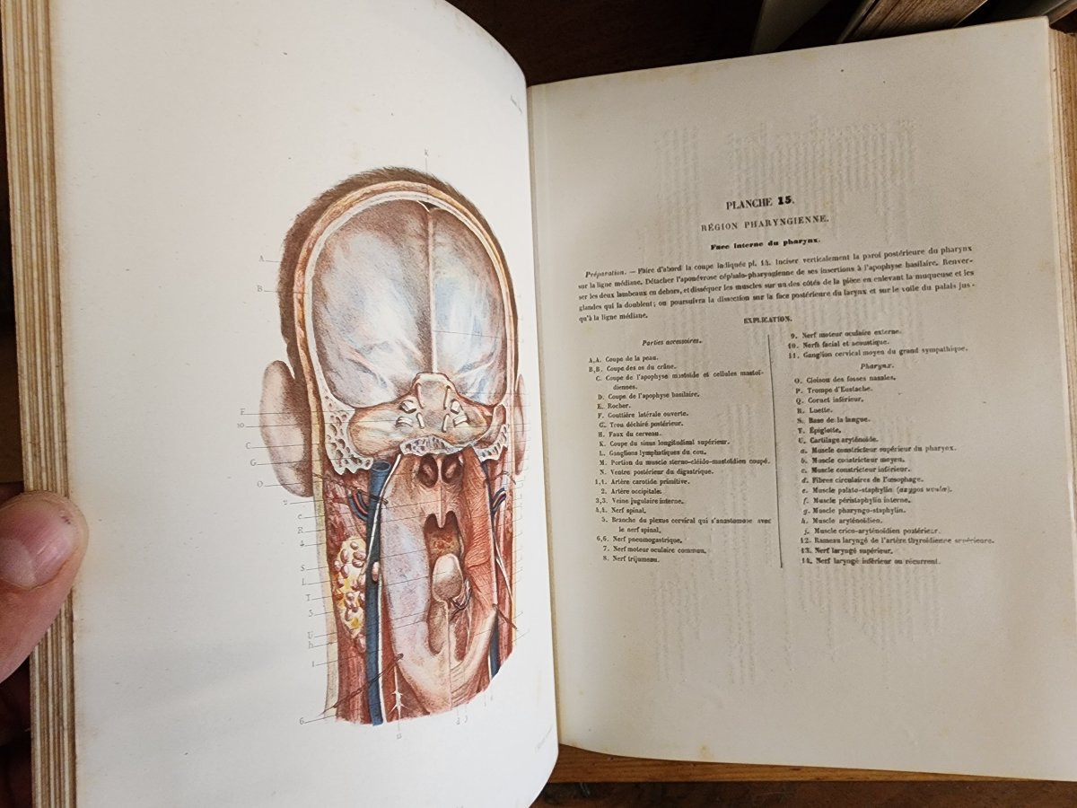 Traité d anatomie topographique EO 1867 medecine operatoire paulet et sarazin  édition masson -photo-6