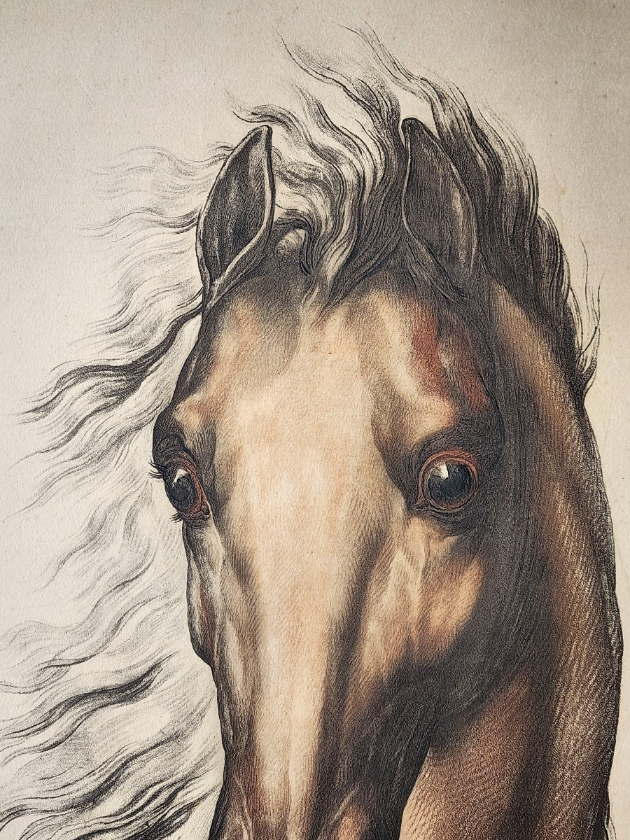 Engraving Demarteau  Vernet Horse-photo-3