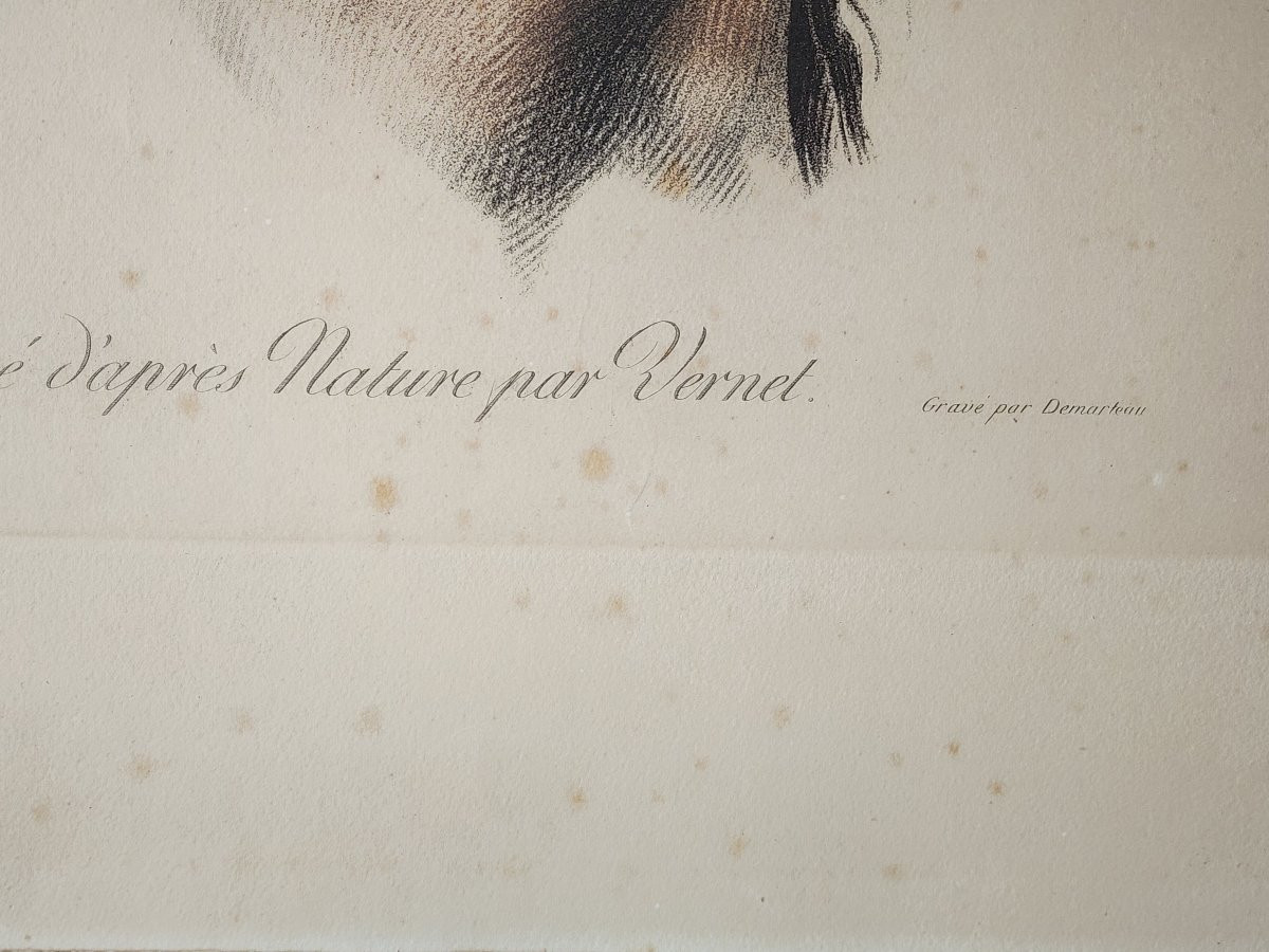 Engraving Demarteau  Vernet Horse-photo-1