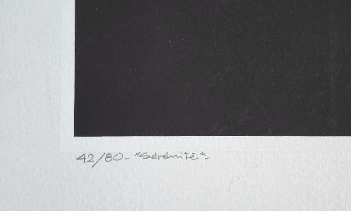 Yves Millecamps Silkscreen Print 42/80 "sérénité" 59 Cm By 59 Cm-photo-2