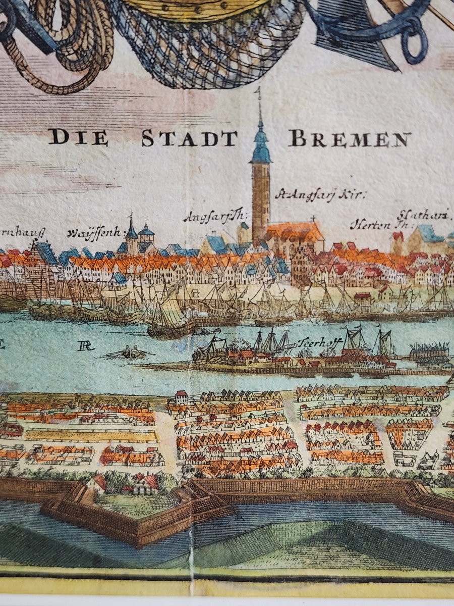 Bream—original Engraving By Johann Baptiste Homann, Ca. 1720, Germany-photo-4
