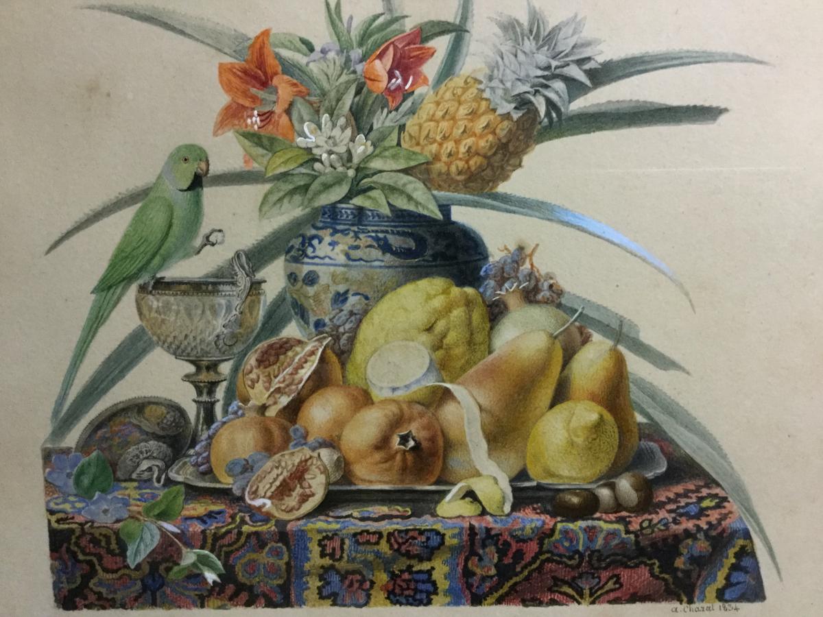 Chazal Antoine 1834 Aquarelle Nature Morte Avec Fruits Fleurs  Et Perruche 