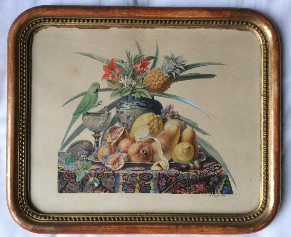 Chazal Antoine 1834 Aquarelle Nature Morte Avec Fruits Fleurs  Et Perruche -photo-2