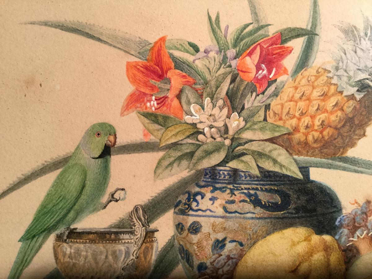 Chazal Antoine 1834 Aquarelle Nature Morte Avec Fruits Fleurs  Et Perruche -photo-8