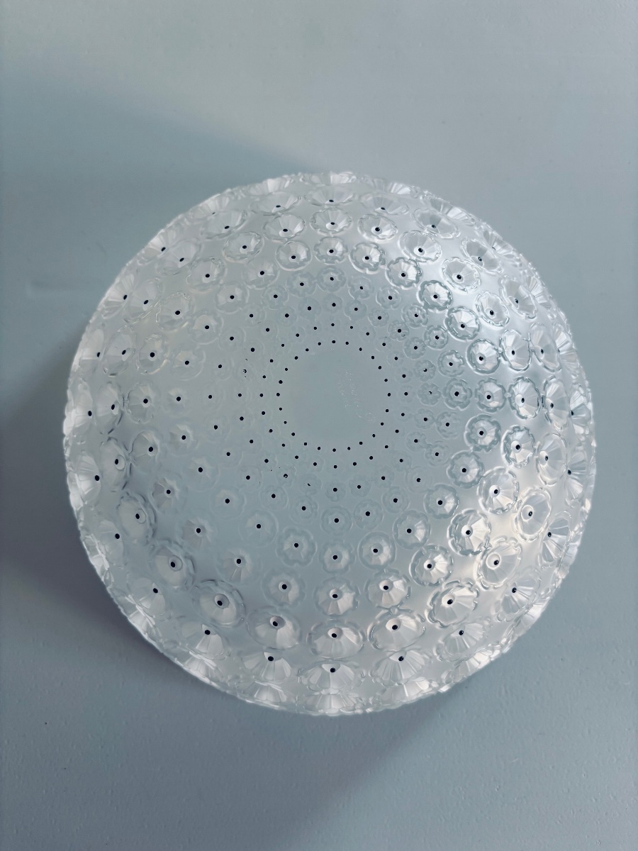 LALIQUE – Coupe « Nemours » en cristal satiné et émaillé noir – Signée-photo-3