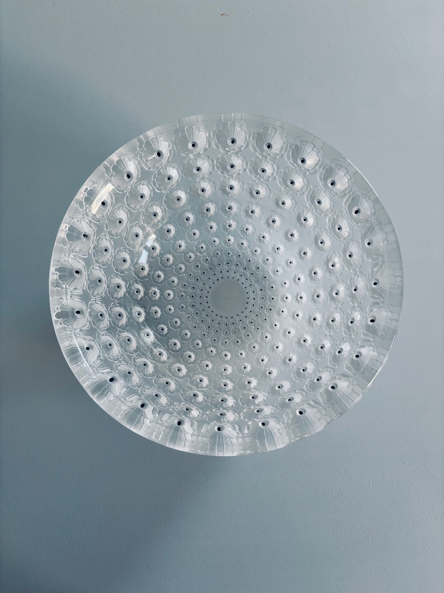 LALIQUE – Coupe « Nemours » en cristal satiné et émaillé noir – Signée