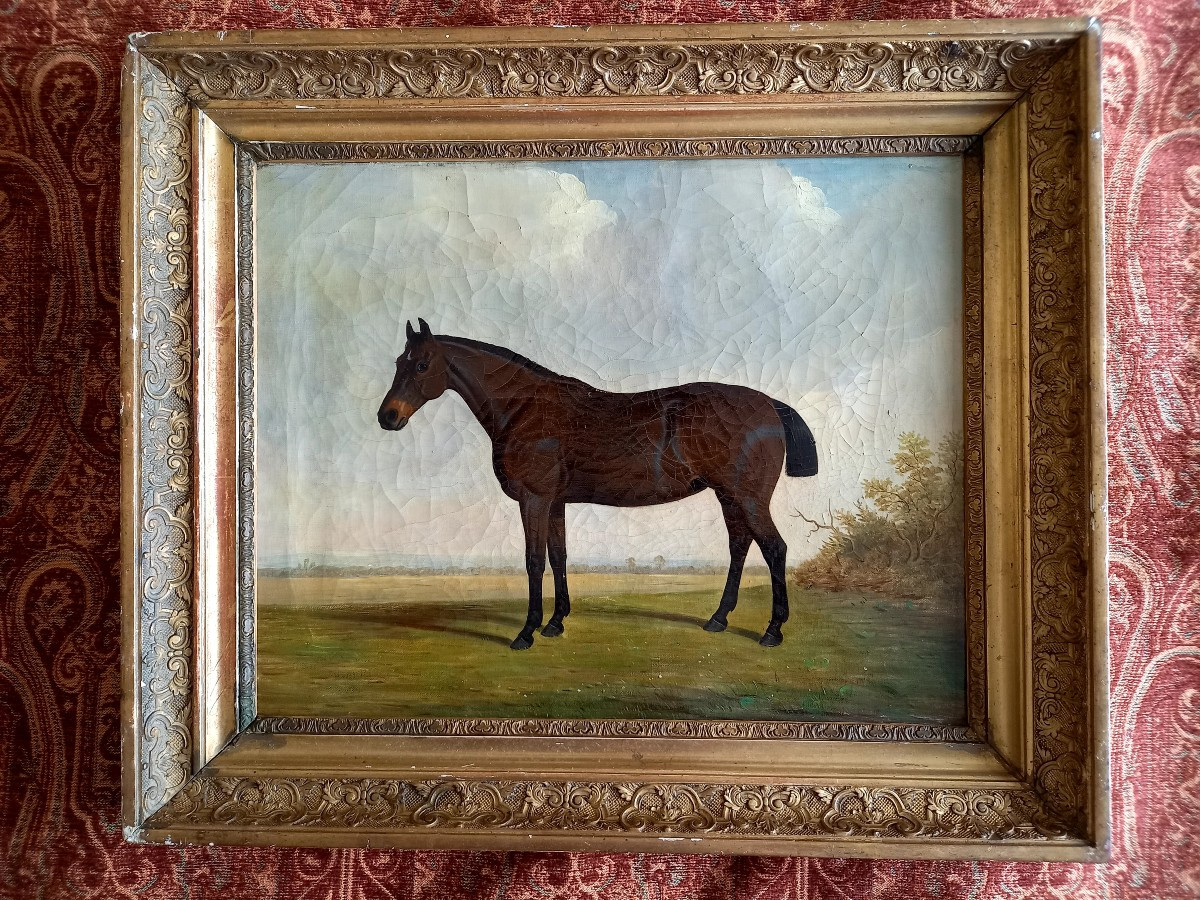 Portrait Of A Thoroughbred. English School, 19th Century -photo-2