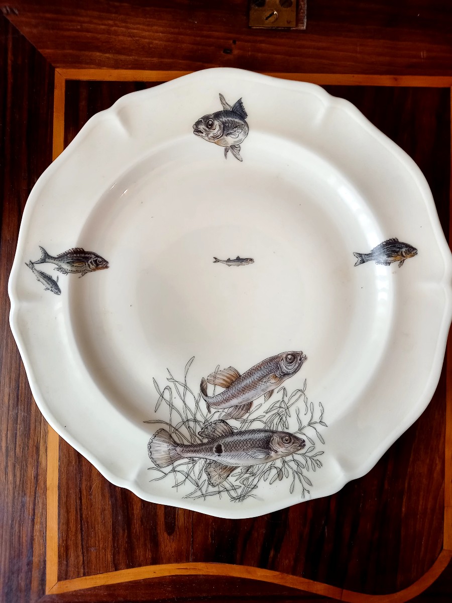 Porcelaine de Limoges vers 1950. 10 assiettes à poisson -photo-2