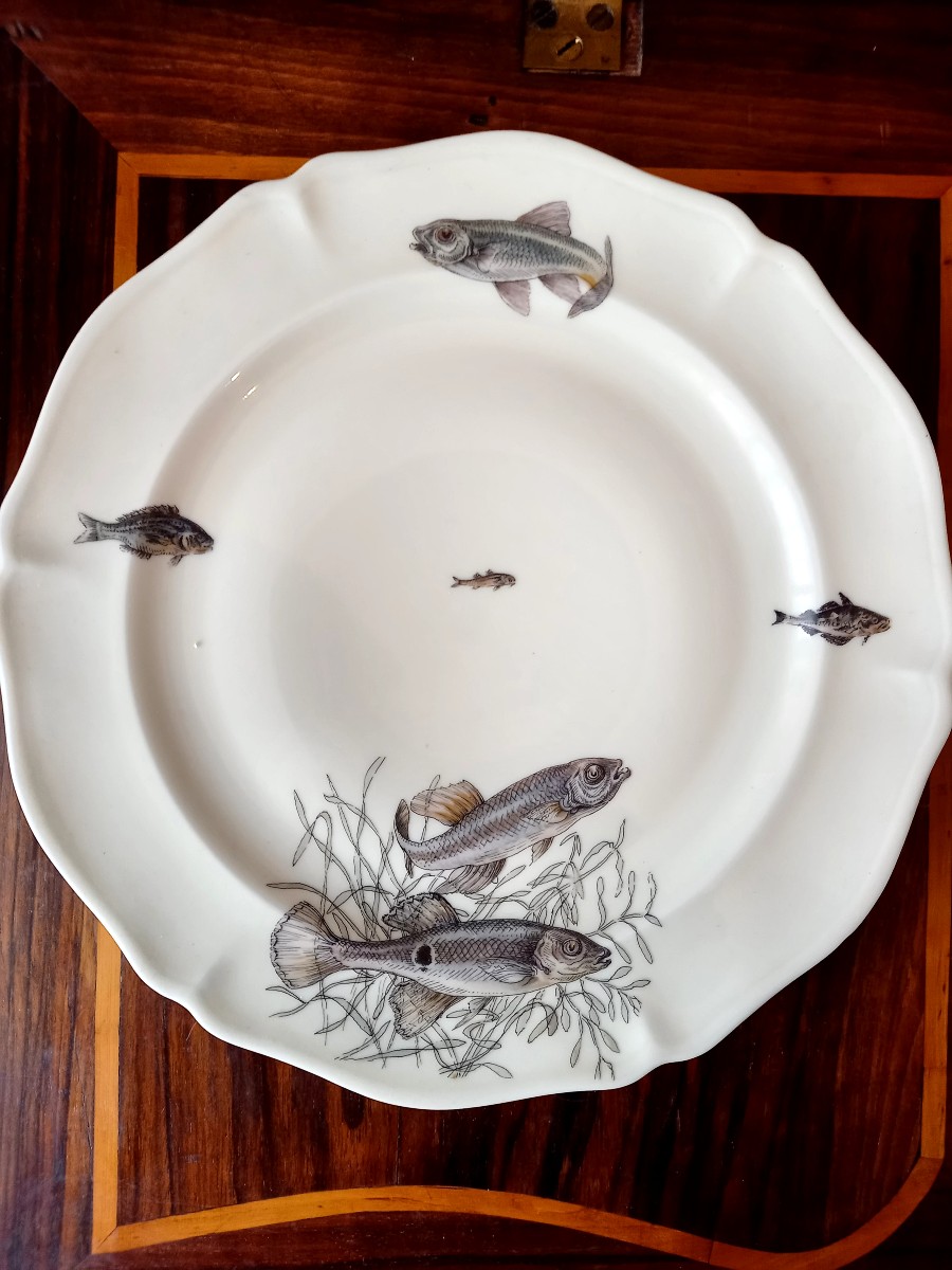 Porcelaine de Limoges vers 1950. 10 assiettes à poisson -photo-3