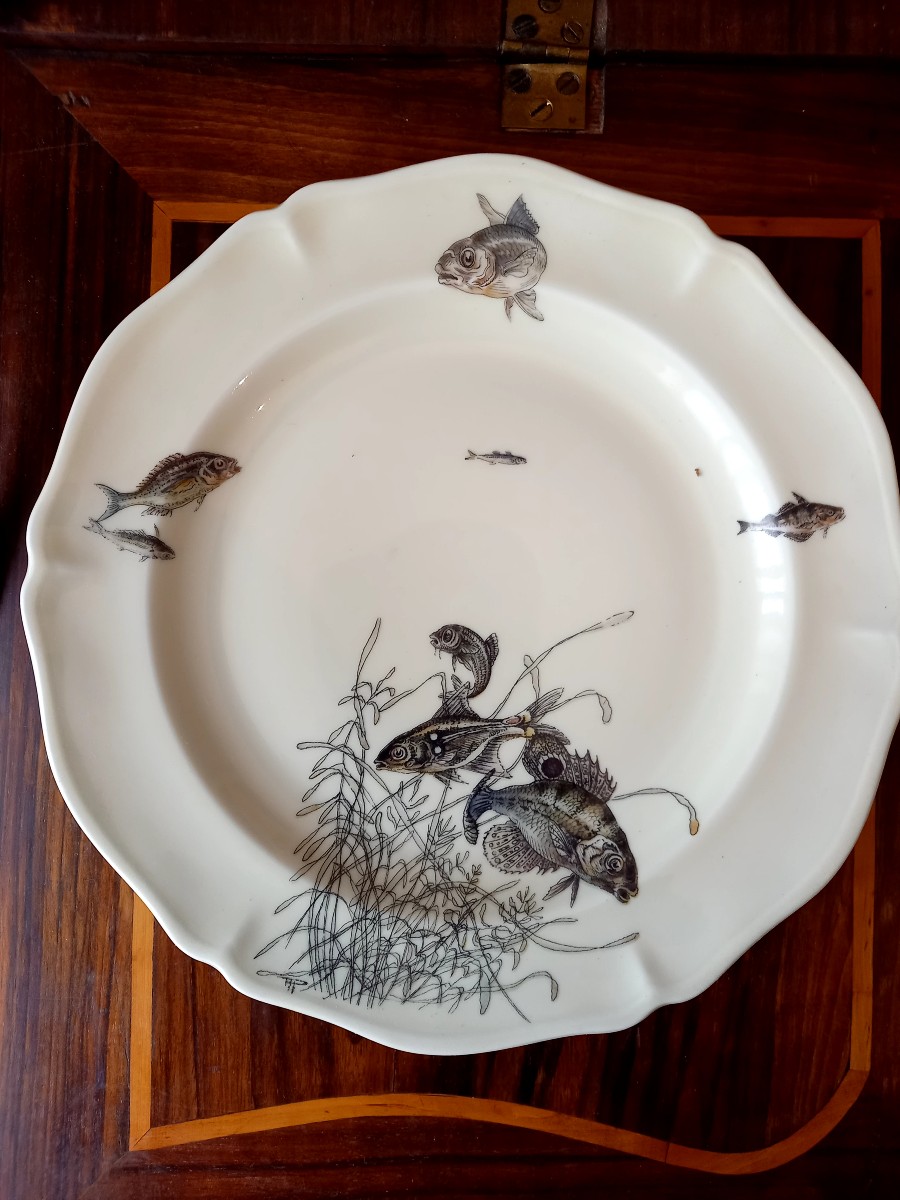 Porcelaine de Limoges vers 1950. 10 assiettes à poisson -photo-1