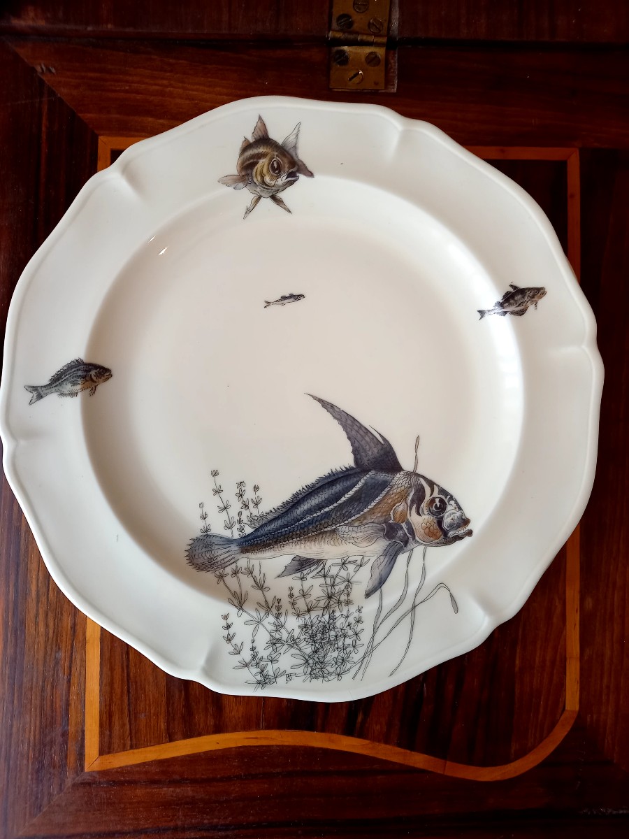 Porcelaine de Limoges vers 1950. 10 assiettes à poisson -photo-2
