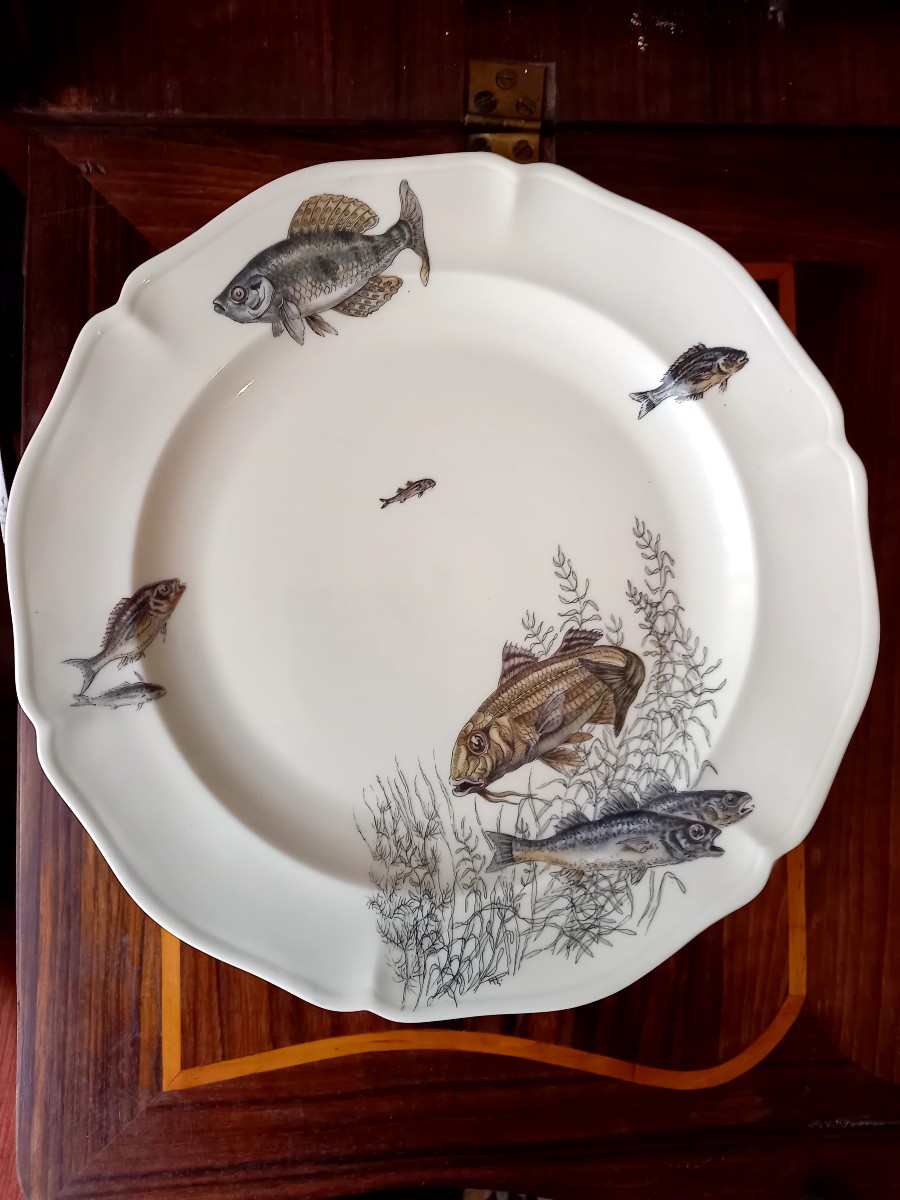 Porcelaine de Limoges vers 1950. 10 assiettes à poisson -photo-5