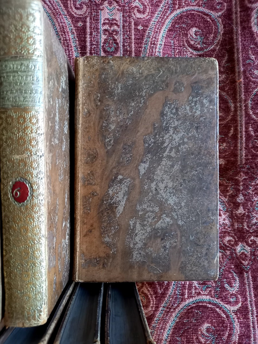 1818.  Histoire des républiques italiennes du moyen âge. Édition  Complète -photo-6