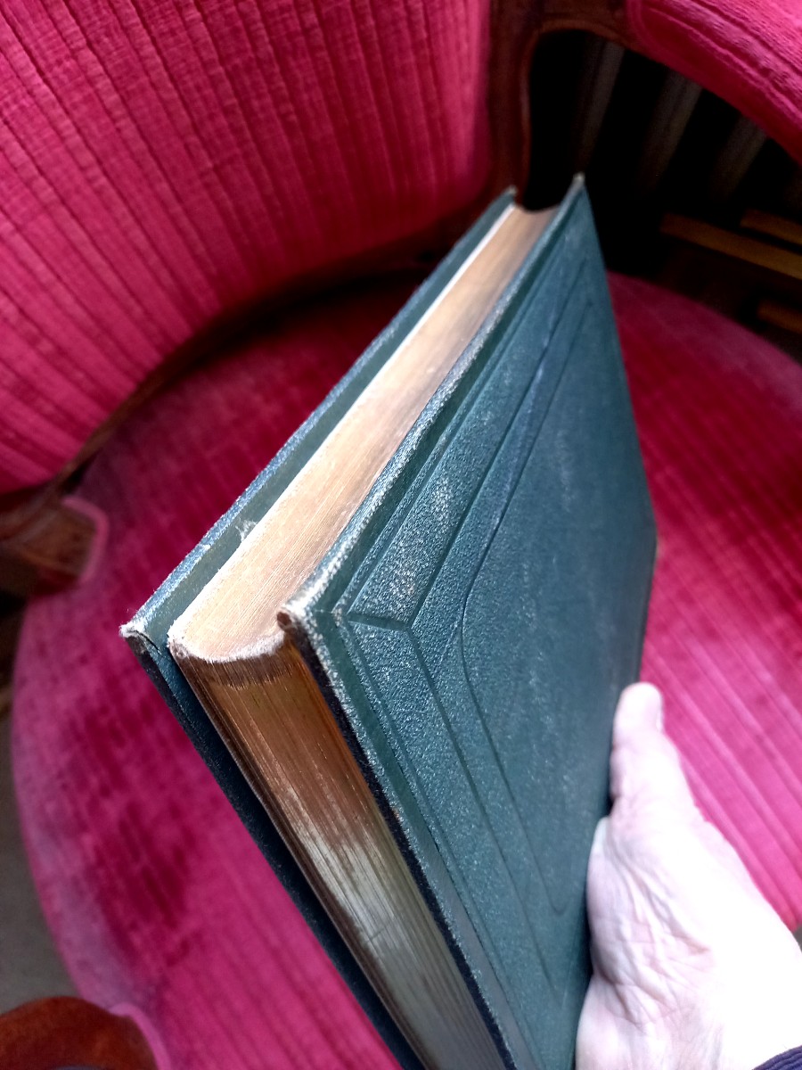 Jules Verne. Hertzel Editions. Jaganda. 800 Places On The Amazon -photo-7