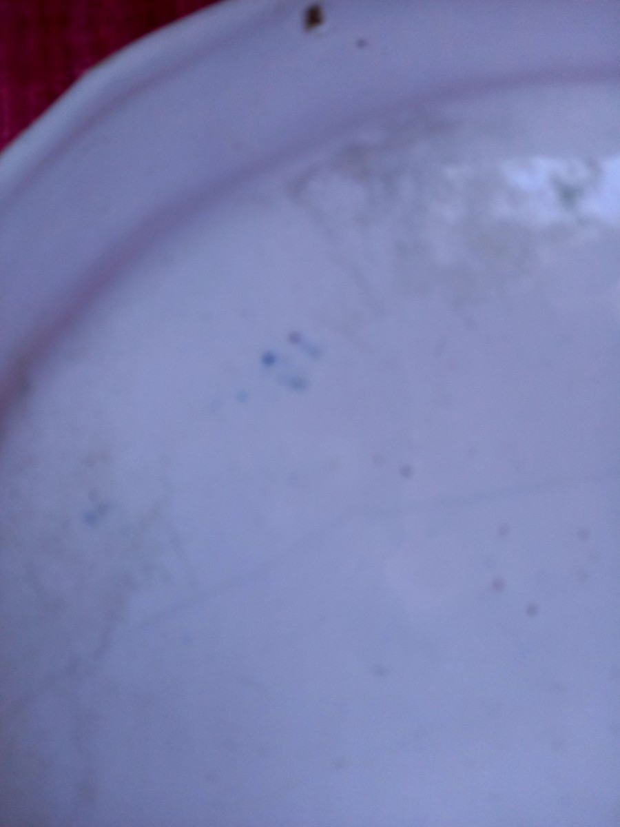 Moustier XVIIIE.  Assiette à la fanfare-photo-3