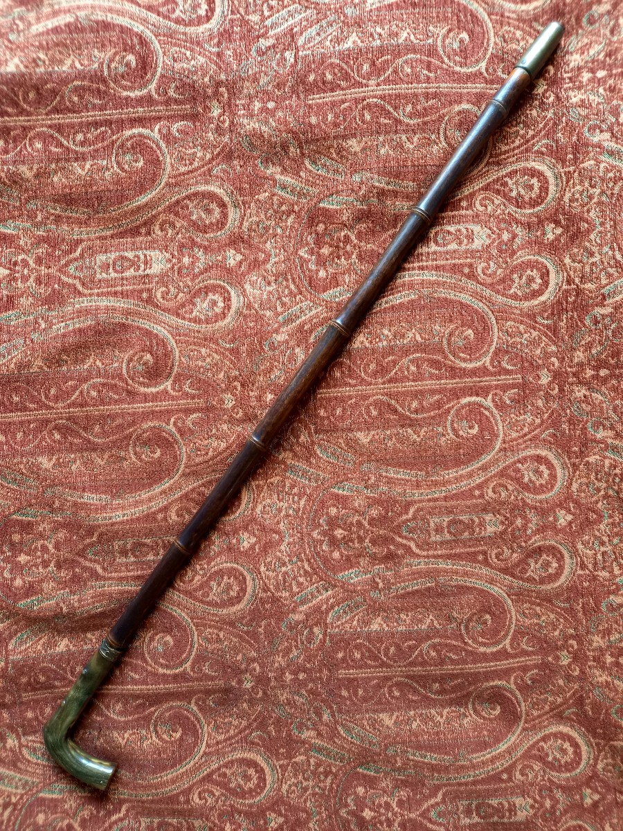 Sword Cane, Late 19th Century -photo-2