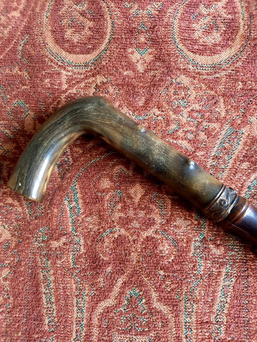 Sword Cane, Late 19th Century -photo-3