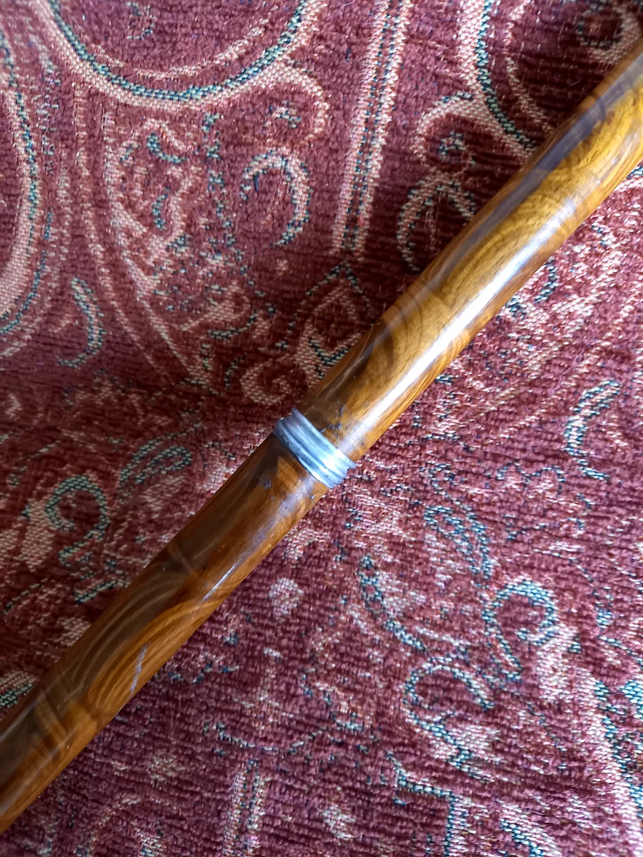Writer's Cane-photo-3