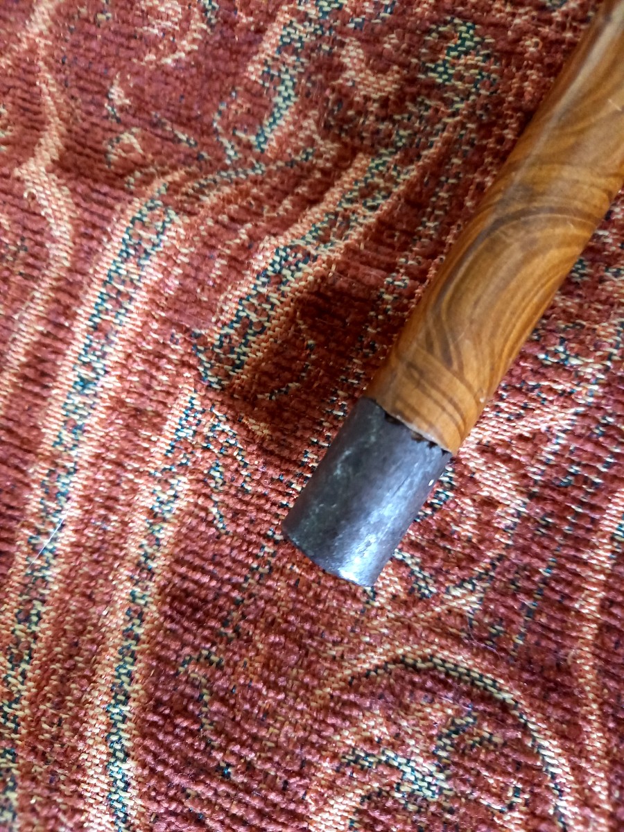 Writer's Cane-photo-4