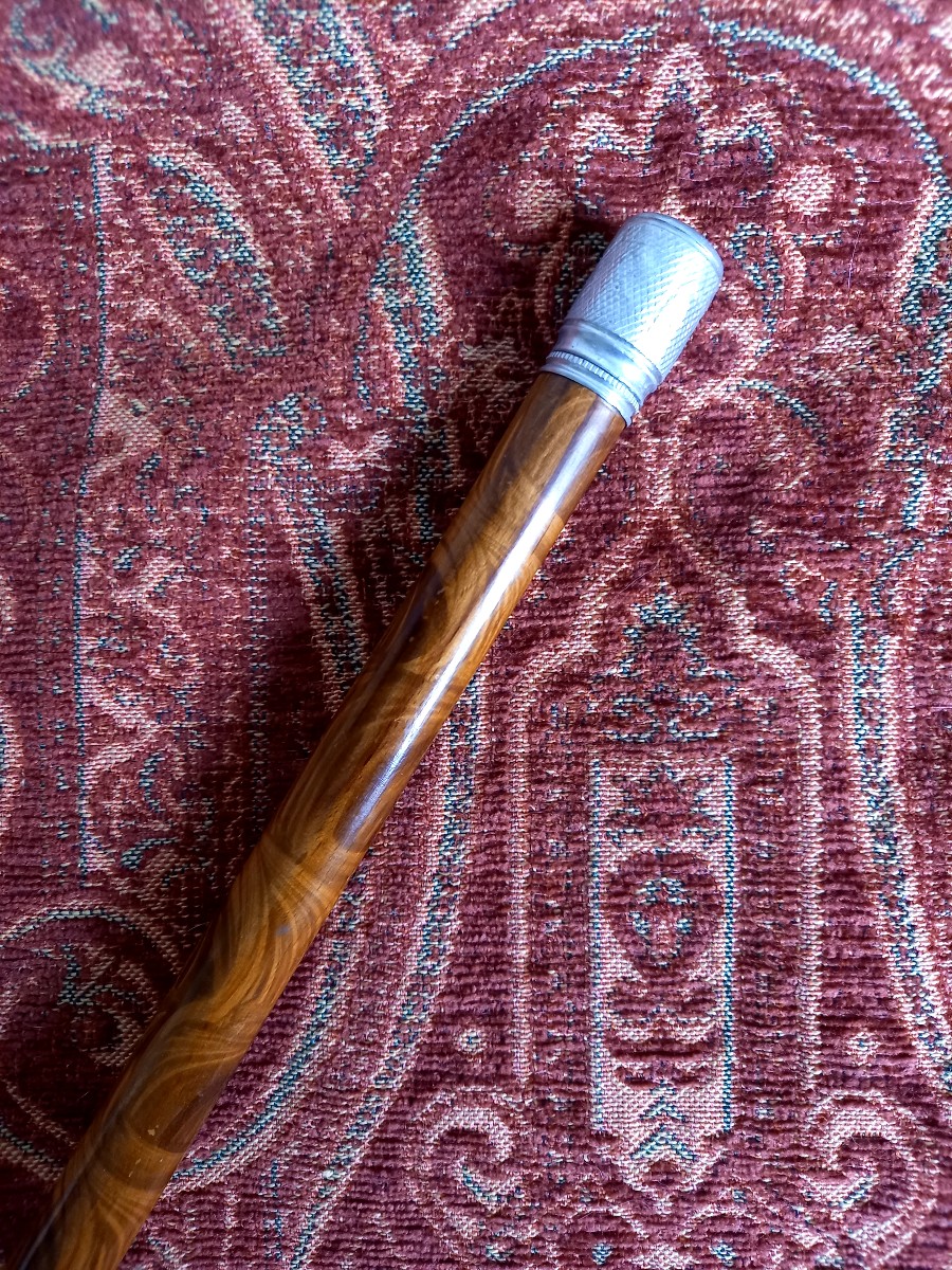 Writer's Cane