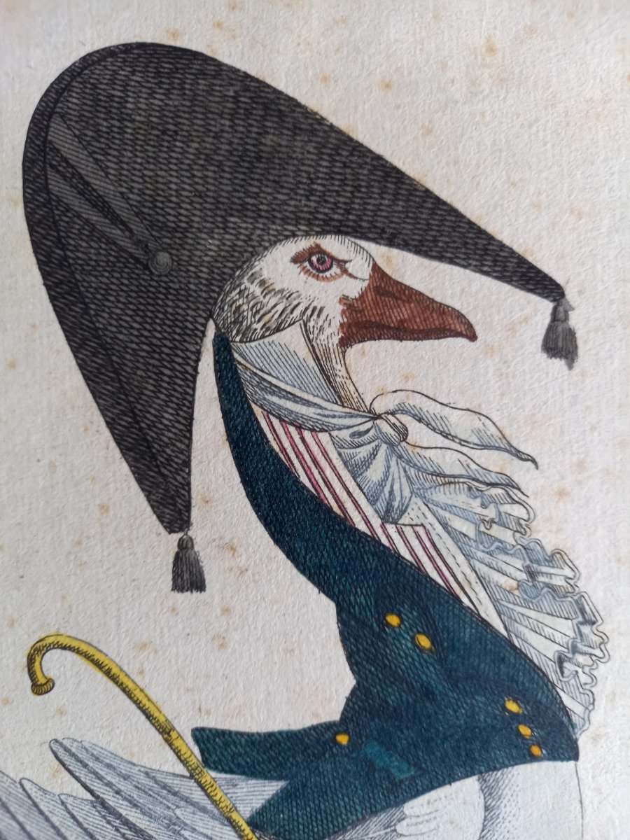 Enhanced Engraving From The Late 18th Century. *the New Incredible* Or *the Goose In Style* -photo-1
