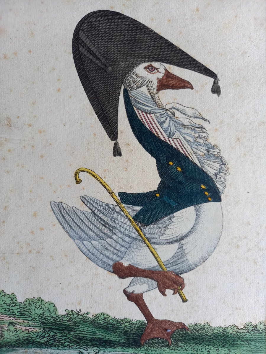 Enhanced Engraving From The Late 18th Century. *the New Incredible* Or *the Goose In Style* 
