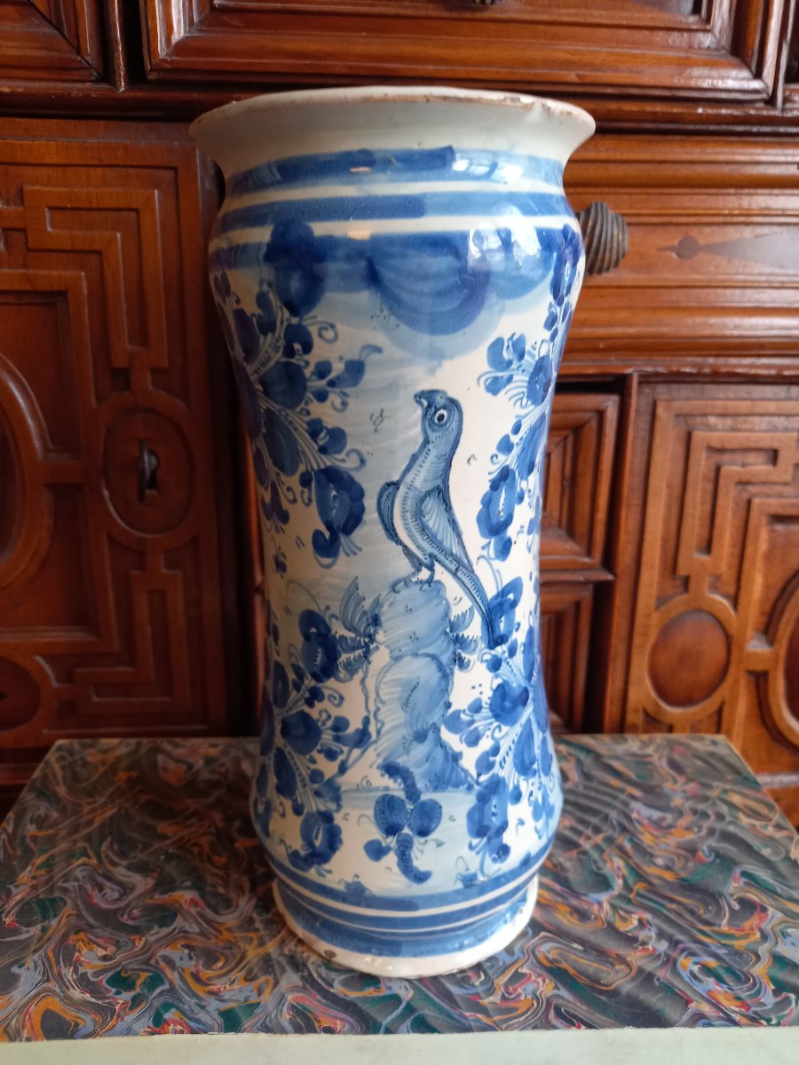 Italie début XVIIIE.  Albarello . Decor au perroquet . Savone  ou Albisola