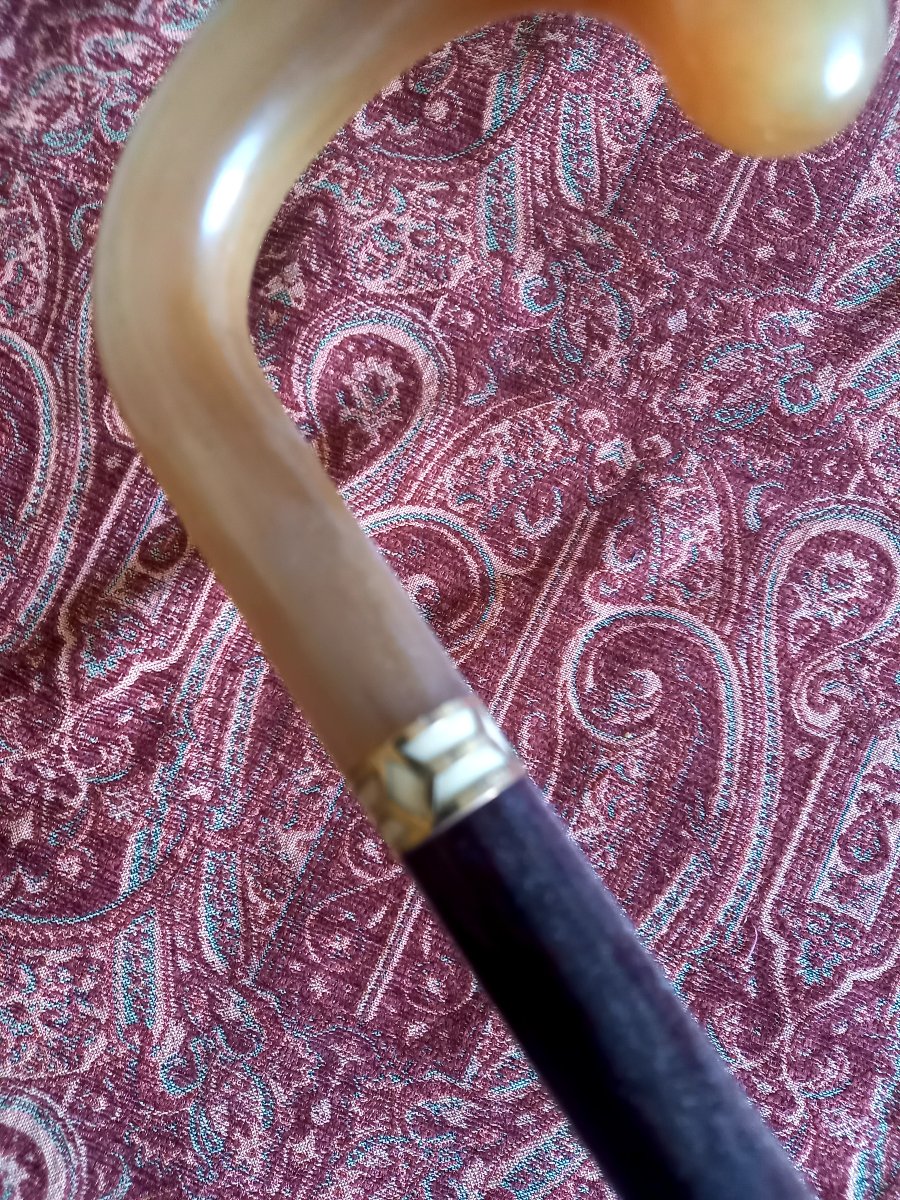 Vers 1920 canne corne blonde ,virole en or et fut en bois exotique -photo-3
