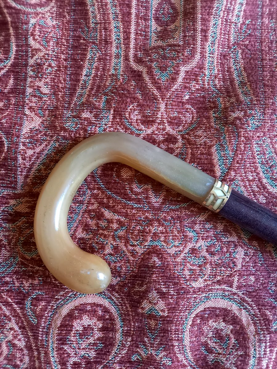 Vers 1920 canne corne blonde ,virole en or et fut en bois exotique -photo-4