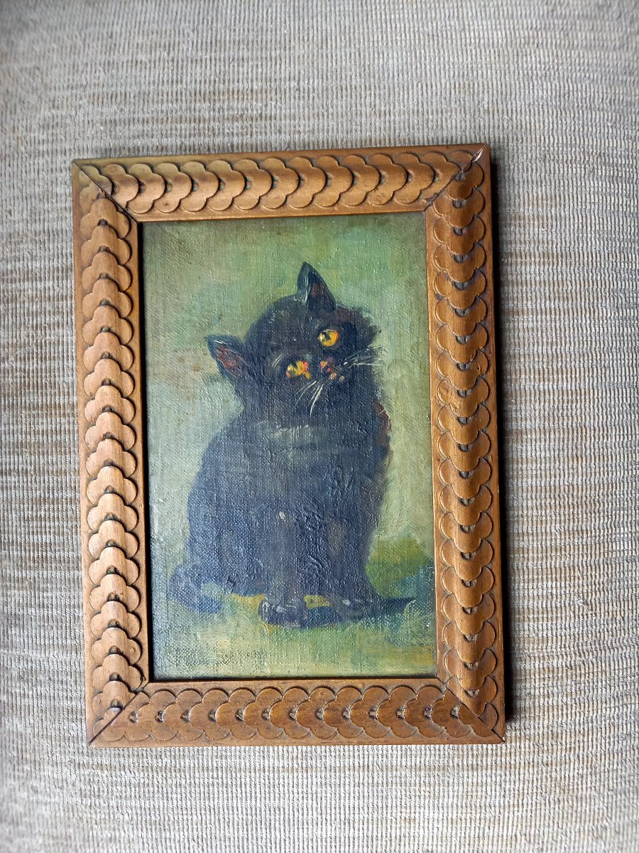 Début XXE siècle.  Un chaton malicieux -photo-2