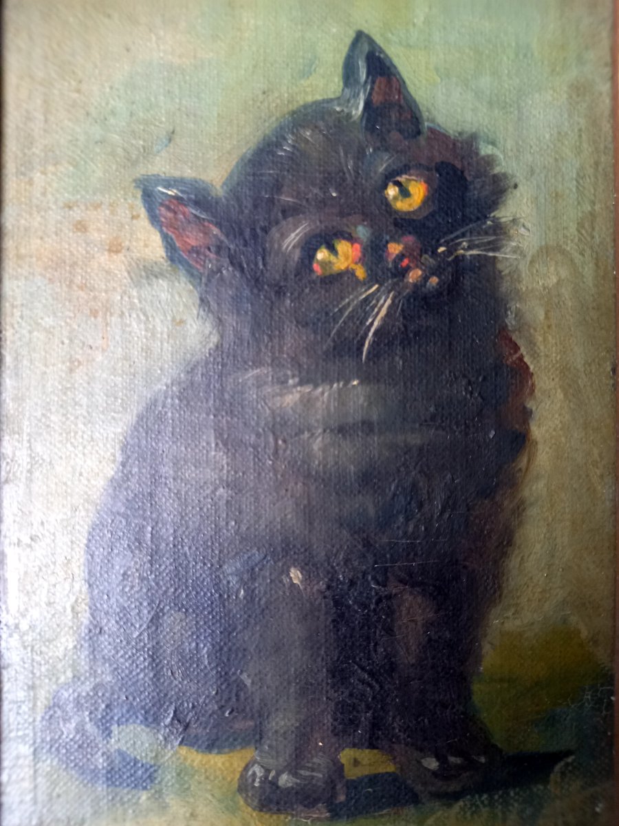 Début XXE siècle.  Un chaton malicieux 