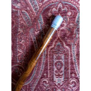 Canne dite d'écrivain