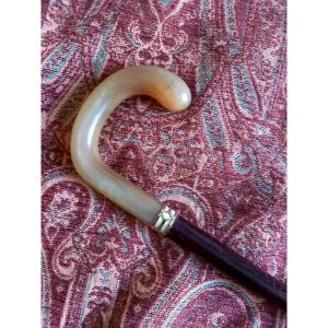 Vers 1920 canne corne blonde ,virole en or et fut en bois exotique 