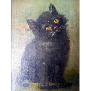 Début XXE siècle. Un chaton malicieux