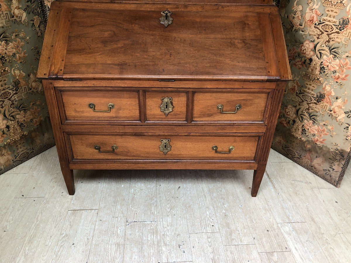 Sloping Desk Forming Louis XVI Period Library In Walnut-photo-2