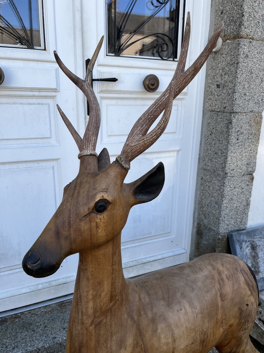 Life-size Walnut Carving Of A Deer From The 20th Century-photo-4