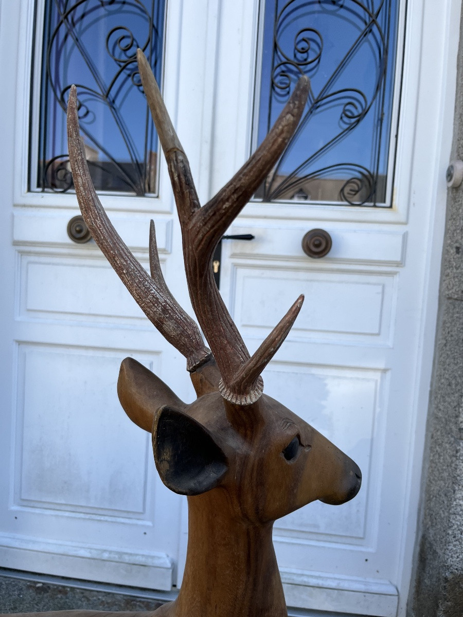 Life-size Walnut Carving Of A Deer From The 20th Century-photo-4