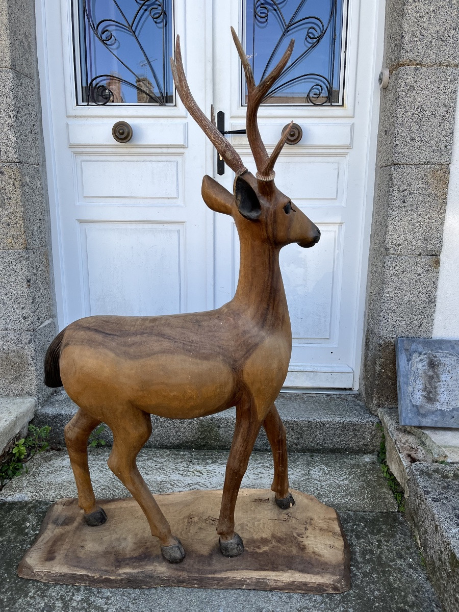 Life-size Walnut Carving Of A Deer From The 20th Century-photo-5