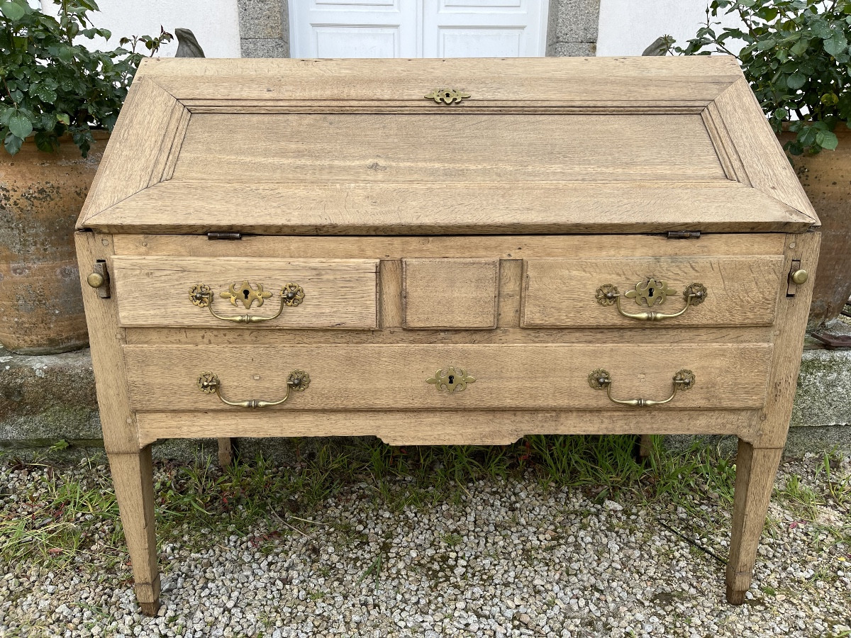 Louis XVI Period Sloping Desk In Natural Oak