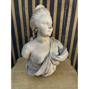 Bust XIXe Terracotta