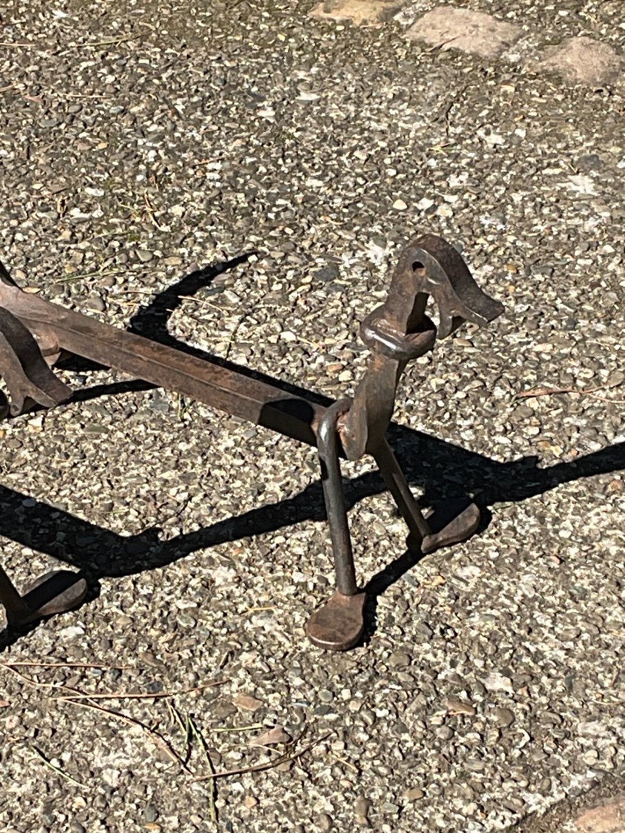 Pair Of Zoomorphic Andirons In Wrought Iron Circa 1950-photo-2