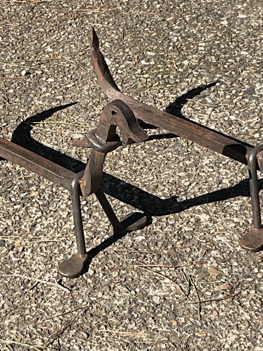 Pair Of Zoomorphic Andirons In Wrought Iron Circa 1950-photo-3