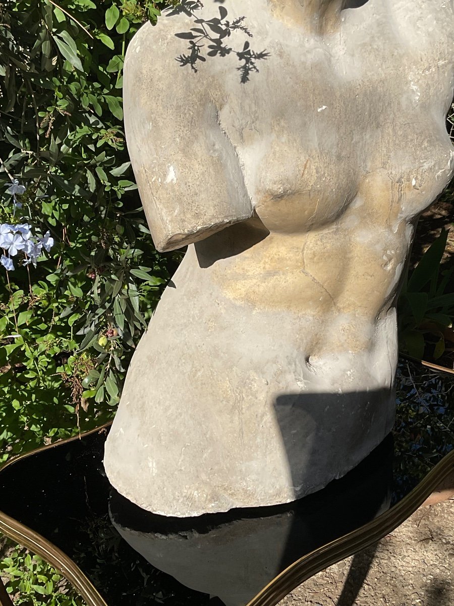 Modelo . Grand Tour.   Torse En Plâtre De La Vénus De Milo  Fin XIX éme -photo-3