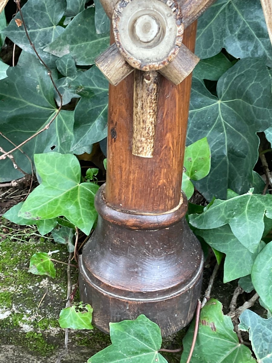 Meuble Insolite  Console Au Chien Forêt Noire fin XIX éme -photo-2
