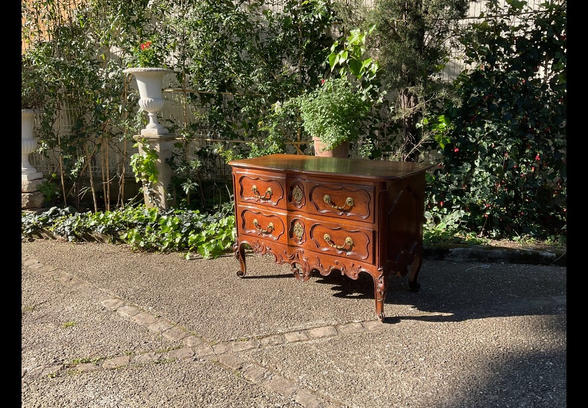 Regence Period Commode Dites De Pezenas-photo-8