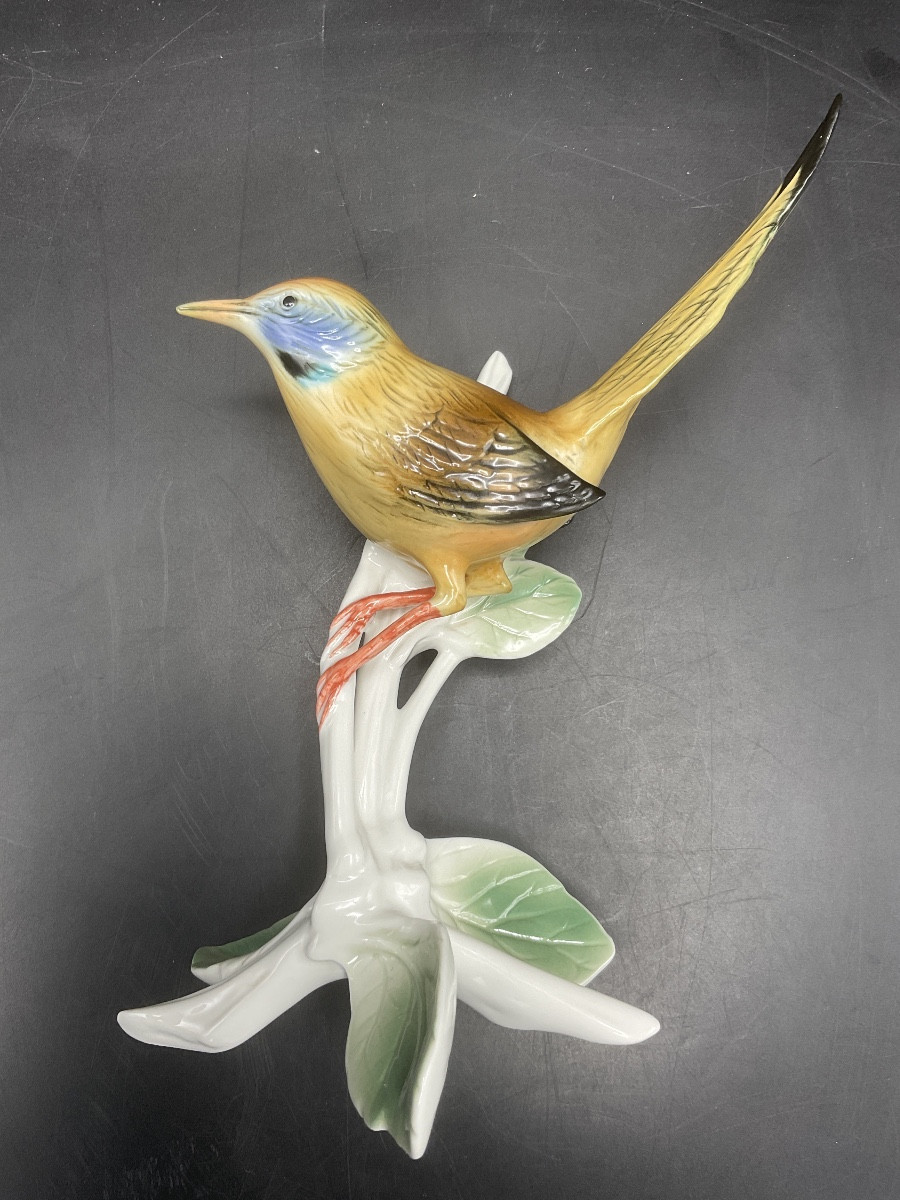 Fauvette couturière à longue queue perché sur un branche en porcelaine polychrome de Karl Ens.-photo-5